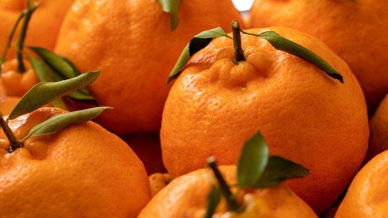 Laranja Ponkan