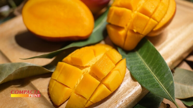 Cortes padronizados para decoração