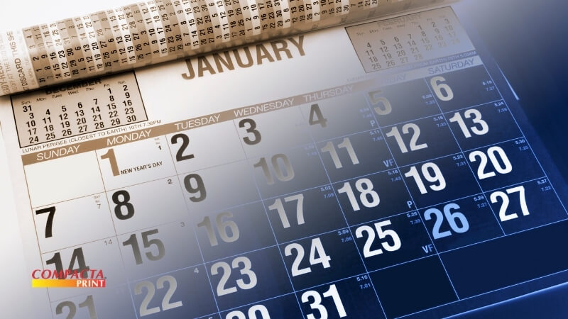 Fase 5 — Dias 80 a 100 Escale, Organize a Rotina e Comece a Lucrar Alto