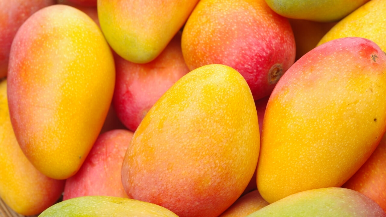 Receitas com Manga Ideias Práticas e Saborosas para Inovar