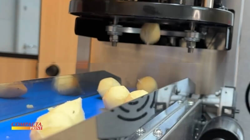 Passo a Passo para Iniciar sua Fábrica de Salgados